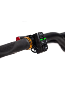 Kaabo Wolf King GT Pro+ Monopattino Elettrico 72V 35ah 2x2000W Monopattini Elettrici