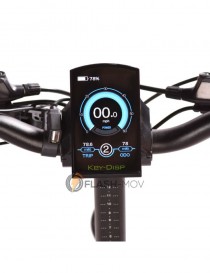 Flash-mov Bicicletta elettrica Fat eBike FM1 bici pieghevole 48v 750w 40Km/h Professional eBike