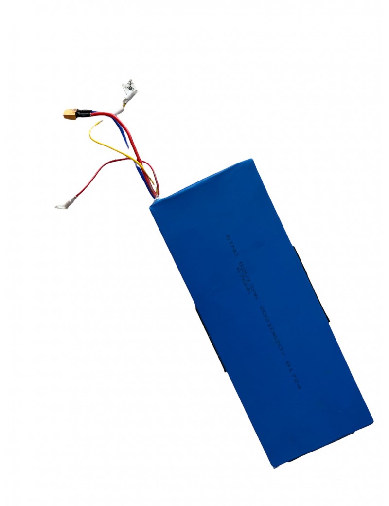Batteria Originale sostitutiva di ricambio Dualtron MINI 52V 13 Ah Parti di ricambio
