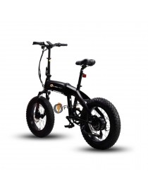 Flash-mov Bicicletta elettrica Fat eBike FM1 bici pieghevole 48v 750w 40Km/h Professional eBike