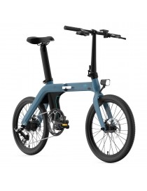 Fiido D11 Bici Elettrica Sportiva Pieghevole Bicicletta e-bike 250W 36V 11.6AH Street eBike
