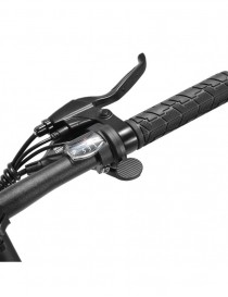 Fiido D11 Bici Elettrica Sportiva Pieghevole Bicicletta e-bike 250W 36V 11.6AH Street eBike