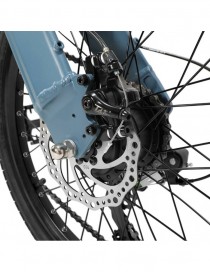 Fiido D11 Bici Elettrica Sportiva Pieghevole Bicicletta e-bike 250W 36V 11.6AH Street eBike