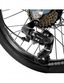 Fiido D11 Bici Elettrica Sportiva Pieghevole Bicicletta e-bike 250W 36V 11.6AH Street eBike