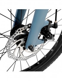 Fiido D11 Bici Elettrica Sportiva Pieghevole Bicicletta e-bike 250W 36V 11.6AH Street eBike