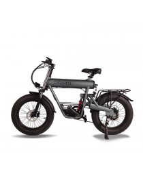 Coswheel FTN-T20 Bicicletta Elettrica e-bike 500W 48V 20AH Professional eBike