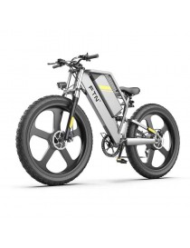 Coswheel FTN-T26 Bicicletta Elettrica e-bike 750W 48V 25AH Professional eBike