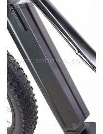 Sobowo S30-2 Bicicletta Elettrica e-bike 750W 48V 11.6AH Mid Motor Batteria Samsung Professional eBike