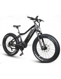 Sobowo S30-2 Bicicletta Elettrica e-bike 750W 48V 11.6AH Mid Motor Batteria Samsung Professional eBike