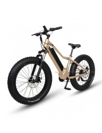 Sobowo S30-2 Bicicletta Elettrica e-bike 750W 48V 11.6AH Mid Motor Batteria Samsung Professional eBike