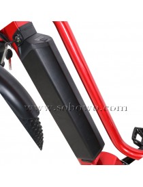 Sobowo S50-M Bicicletta Elettrica e-bike 750W 48V 11.6AH Mid Motor Batteria Samsung Professional eBike