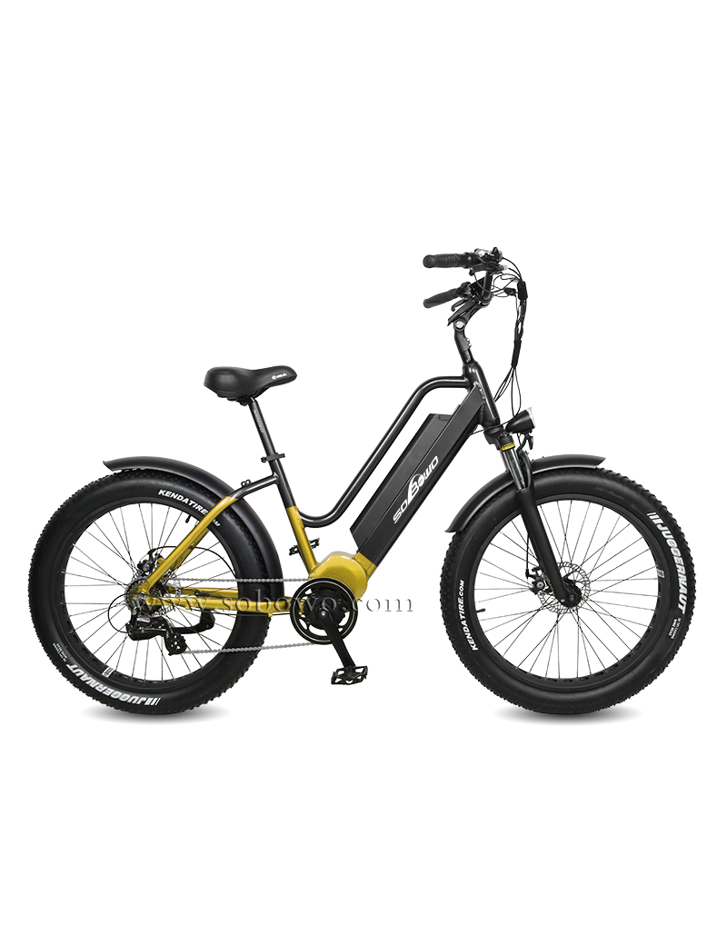 Sobowo S50-M Bicicletta Elettrica e-bike 750W 48V 11.6AH Mid Motor Batteria Samsung Professional eBike Sobowo S50-M Bicicletta Elettrica e-bike 750W 48V 11.6AH Mid Motor Batteria Samsung Professional eBike