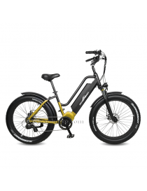 Sobowo S50-M Bicicletta Elettrica e-bike 750W 48V 11.6AH Mid Motor Batteria Samsung Professional eBike