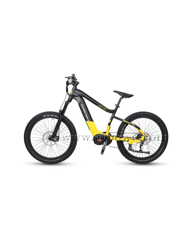 Regolatore Per Bici Elettrica 36V/48V 1000W Con Manopola Acceleratore &ndash; Kit Spazzolato