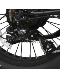 Sobowo SF2-1 Bicicletta Elettrica e-bike 500W 48V 11.6AH Hub Motor Batteria Samsung Professional eBike