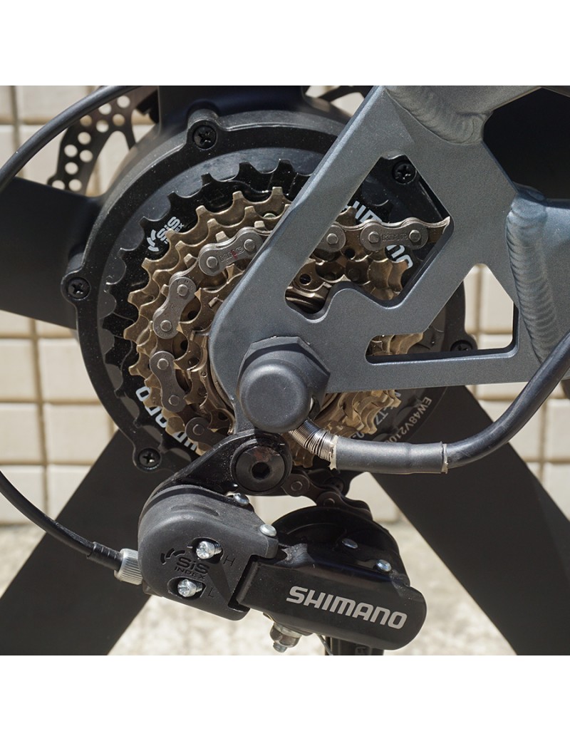 E-Bike GT20 20x4.0" Fat Tire | Batteria 48V 25Ah, Autonomia 150km, Freni Idraulici E Sospensioni